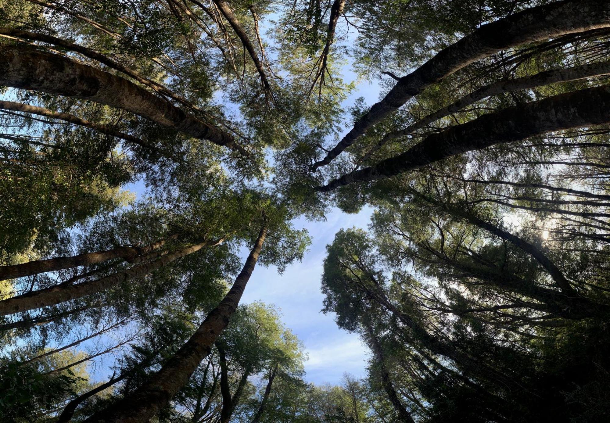 Vortice Chile Eco-Lodge Manzanar  Εξωτερικό φωτογραφία